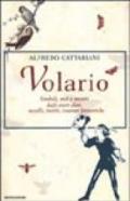 Volario