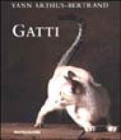 Gatti