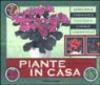 Piante in casa