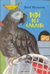 Didì dei Caraibi