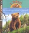 L'orso