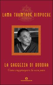 La saggezza di Buddha. Come raggiungere la vera pace