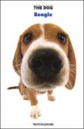 Beagle. The dog: 3