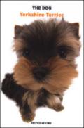 Yorkshire terrier. The dog: 4