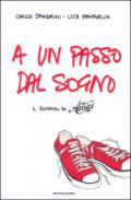 A un passo dal sogno. Il romanzo di «Amici»