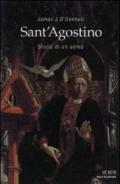 Sant'Agostino. Storia di un uomo