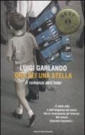 Ora sei una stella. Il romanzo dell'Inter