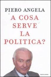 A cosa serve la politica? (Ingrandimenti)