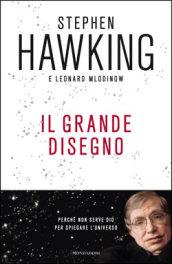 Il grande disegno: Che cosa sappiamo oggi dell'universo (Saggi stranieri)