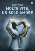 Molte vite, un solo amore 2013