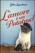 L'amore è un patatrac!