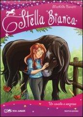 Un cavallo a sorpresa. Stella Bianca: 1