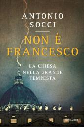 Non è Francesco: La Chiesa nella grande tempesta