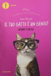 Il tuo gatto è un genio? Misura il suo Q.I. I migliori amici dell'uomo