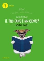 Il tuo cane è un genio? I migliori amici dell'uomo