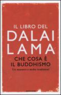 Che cosa è il Buddhismo: Un maestro e molte tradizioni