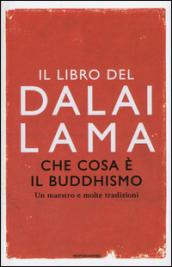 Che cosa è il Buddhismo: Un maestro e molte tradizioni