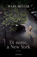 Di notte, a New York