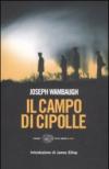 Il campo di cipolle