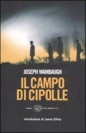 Il campo di cipolle