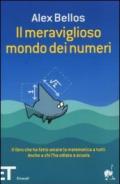 Il meraviglioso mondo dei numeri