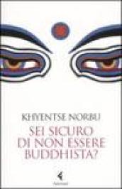 Sei sicuro di non essere buddhista?