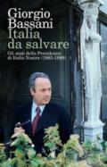 Italia da salvare. Gli anni della Presidenza di Italia Nostra (1965-1980)