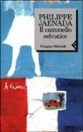 Il cammello selvatico