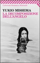 La decomposizione dell'angelo (Universale economica)