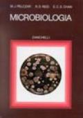 Microbiologia