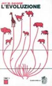 L'evoluzione