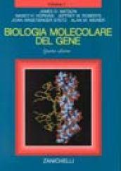 Biologia molecolare del gene: 1