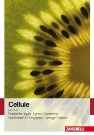 Cellule