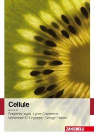 Cellule