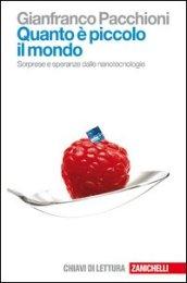 Quanto è piccolo il mondo. Sorprese e speranze dalle nanotecnologie