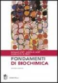 Fondamenti di biochimica