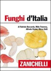 Funghi d'Italia