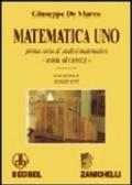 Matematica uno. Primo corso di analisi matematica. Teoria ed esercizi. Per le Scuole superiori