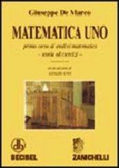 Matematica uno. Primo corso di analisi matematica. Teoria ed esercizi. Per le Scuole superiori