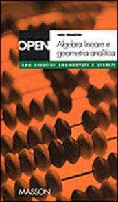 Algebra lineare e geometria analitica. Con esercizi commentati e risolti