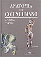 Anatomia del corpo umano