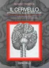 Il cervello. Introduzione alle neuroscienze