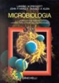 Microbiologia