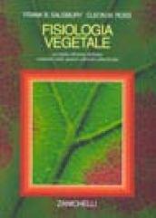 Fisiologia vegetale