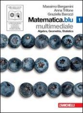 Matematica.blu. Algebra. Geometria. Statistica. Per le Scuole superiori. Con DVD-ROM. Con espansione online: 1