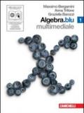 Algebra. Blu. Per le Scuole superiori. Con CD-ROM. Con DVD. Con espansione online: 1