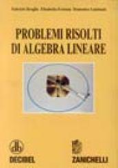 Problemi risolti di algebra lineare