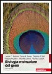 Biologia molecolare del gene