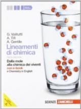 Lineamenti di chimica. Dalla mole alla chimica dei viventi. Con Chemistry in english. Con DVD-ROM. Con espansione online