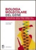 Biologia molecolare del gene